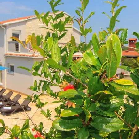Charming Golubovo With Pool Near The Beach * Gajana